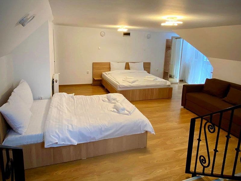 artemis-straja Ski Areas and Parks