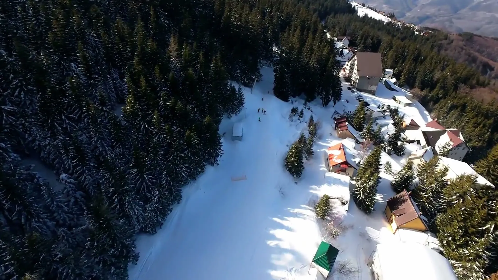 Lodges among the spruce trees, beside a slope